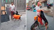 Cercado de Lima: rescatan más de 20 perros durante incendio en almacén