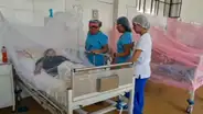 Médicos reportan que un bebé nació contagiado con dengue en Lambayeque