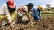 Senamhi advierte déficit hídrico ante fenómeno del Niño Global