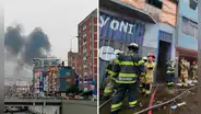 Incendio en La Victoria: un total de 20 perritos fueron rescatados