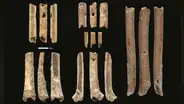 Música prehistórica: descubren flautas de hueso de hace 12.000 años y las hacen sonar