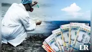 ¿Cuánto gana un biólogo marino en Perú y qué funciones realiza?