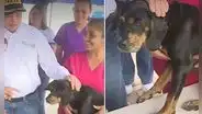 La Victoria: alcalde adopta perrita rescatada de incendio