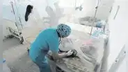Perú lidera tasa de muertes por dengue en América