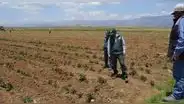 ¿Fenómeno El Niño afectará a la región Puno? Esto dice el Senamhi