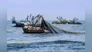Pescadores del norte se quedan sin trabajo: piden declaratoria de emergencia por fenómenos climáticos