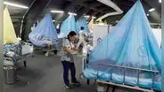 Gobiernos regionales responden a ministra de Salud sobre manejo del dengue