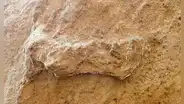 Encuentran la huella humana más antigua en el mundo