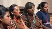 Necesidad urgente de frenar los asesinatos de las y los defensores ambientales