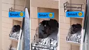 Destruye una pared de edificio para remodelar su departamento y le llueven críticas: “Negligencia total”