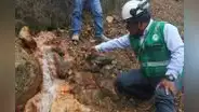 Minem inicia coordinaciones para remediar pasivos ambientales en Talara