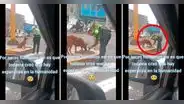 Policía le da comida a perrito callejero y enternece las redes: "Hay esperanza en la humanidad"