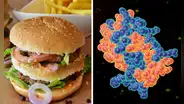 La extraña mutación genética que provoca un apetito insaciable por comer