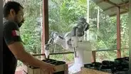Un robot para reforestar la Amazonía