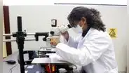 Beca para mujeres científicas: ganadoras obtendrán S/50.000 para financiar investigaciones