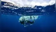 ¿Cómo es Titán, el submarino turístico del Titanic que fue reportado desaparecido?