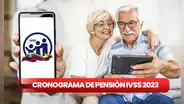 Cronograma de pago de pensión IVSS 2023: ¿cuándo pagan el seguro social de julio y cómo consultar con cédula?