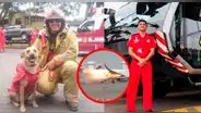 Controladores aéreos dormían el día del accidente en el Jorge Chávez, afirma abogado de víctimas