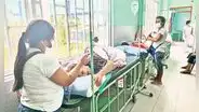 Advierten falta de pruebas para detectar el dengue
