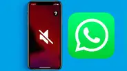¿Cómo silenciar las llamadas de WhatsApp que recibes de contactos desconocidos? Te enseñamos