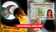 Gasolina subsidiada: cronograma por número de cédula del 20 al 30 de junio