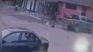 SJM: cámaras captan instante en que auto atropella a hombre que alimentaba a perros callejeros