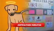 Justicia para Huellitas: esto se sabe del caso del perrito torturado por una estudiante en Puebla