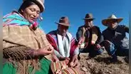 Escasez de alimentos en Puno por sequía: un problema que los agricultores muestran al Gobierno