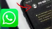 ¿Cómo solucionar el error de WhatsApp que no te permite ver los nombres de tus contactos?