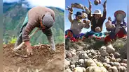¿Será feriado el Día del Campesino en Perú?