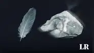 ¿Por qué una piedra no siempre cae más rápido que una pluma?