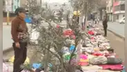 Vendedores ambulantes de SJL cuelgan productos en árboles: "No hay dónde trabajar"