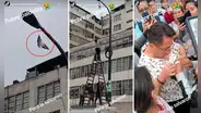 Rescatan a paloma de una muerte segura tras quedar atada en poste de luz en el Centro de Lima