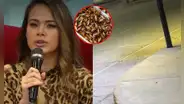 Jossmery Toledo asustada por la infestación de insectos en el norte: “¡Es una lluvia de grillos!”