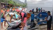 ¿Qué se sabe de los 3 pescadores desaparecidos en Choroní?