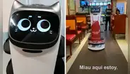 Un gatito robot es el mesero sensación en este chifa de Lima: ¿dónde queda y cómo llegar al local?