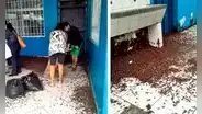 Minsa pide no usar insecticidas por plaga de grillos en Piura y Lambayeque: ¿qué medidas se adoptarán?