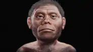 Científicos reconstruyen el rostro del 'Hobbit', nuestro primo enano extinto hace 50.000 años
