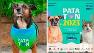 Patatón 2023: conoce la 'Teletón perruna' en donde puedes apoyar colaborando desde 5 soles