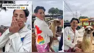 Kunno se emocionó al conocer una llama y peruanos le dijeron: “Te sigo porque te gusta Perú”