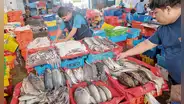 Día del Pescador sin pensiones y a merced del cambio climático