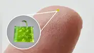 ¿Sabías que existe un bolso más pequeño que un grano de sal?: fue vendido en más de US$62.000