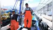 Ministerio de la Producción inicia elaboración de la primera Política Nacional de Pesca