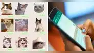 ¿Se borraron tus stickers de WhatsApp y no sabes qué hacer? Te enseñamos cómo recuperarlos