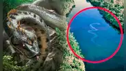 Yacumama: ¿cuál es el origen de esta leyenda y por qué pobladores de la selva afirman que sí existe?