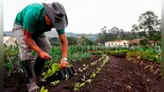 Japón usa fertilizantes fabricados con heces humanas ante precios altos por guerra de Ucrania