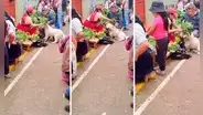 Señor deja que su perrito pase por una limpia para sacarle las malas energías y VIDEO se hace VIRAL