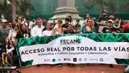 Pacientes de cannabis piden legalizar planta de marihuana por falta de insumos para medicación