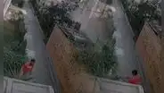 Callao: hombre agredió brutalmente a su mascota cuando la sacaba a pasear
