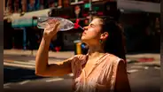 El martes 4 de julio fue el día más caluroso de la historia: el planeta alcanzó los 17,18 ºC
